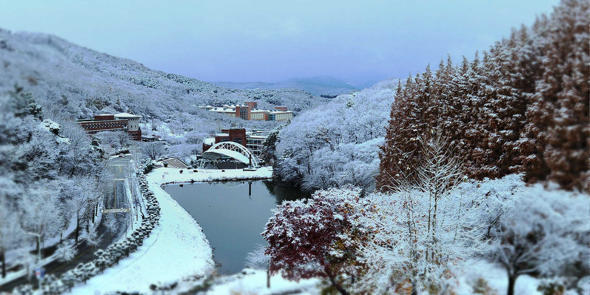 새해 복 많이 받으세요!